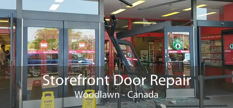 Storefront Door Repair Woodlawn - Canada