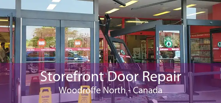 Storefront Door Repair Woodroffe North - Canada